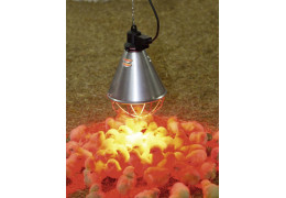 Riscaldamento degli animali con le lampade infrarossi